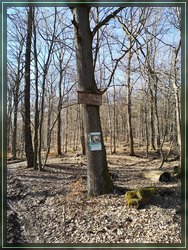 Bild 05