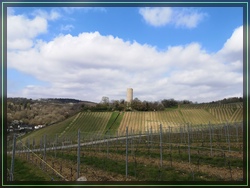 Bild 03
