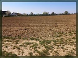 Bild 04