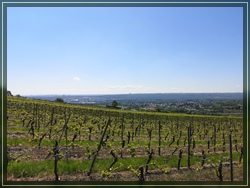 Bild 06
