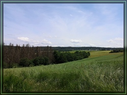 Bild 23