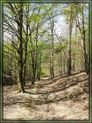Bild 08