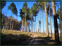 Bild 04