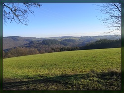 Bild 17